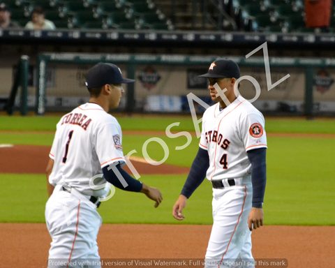 George Springer
